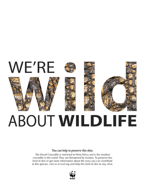 World Wildlife Fund Layout Design